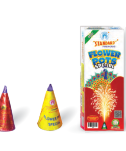 Flower Pots Special (10 Pcs)